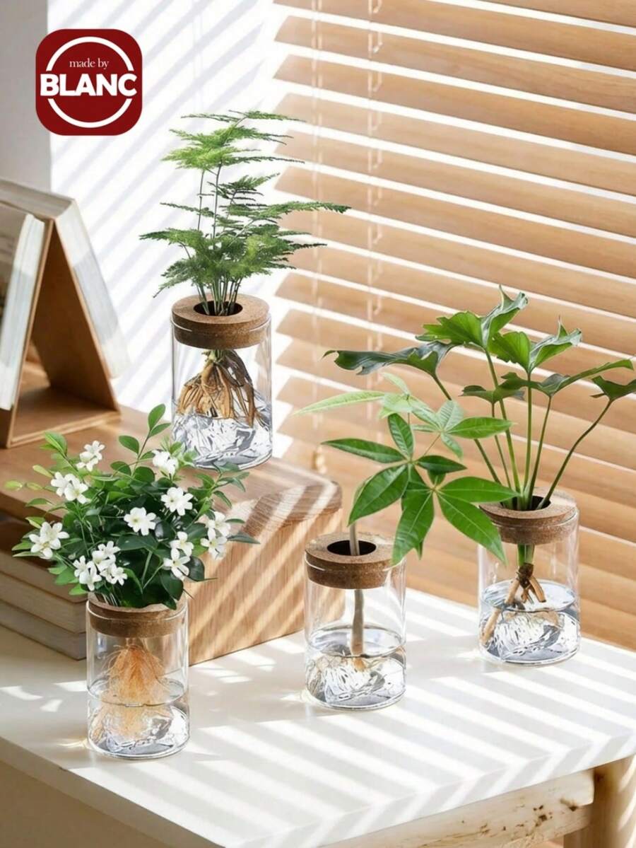 Haus Hana 高硼硅玻璃透明直筒软木盖水培植物瓶,简约厚实桌面盆栽瓶,简约透明山景杯,透明厚实直筒植物瓶配天然软木盖,极简日式桌面生态瓶,多肉植物水培容器,现代家居办公室装饰,客厅窗台植物繁殖器,独特的乔迁礼物。 - 多色 - 查看 1