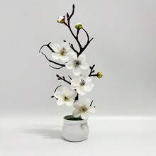 trắng