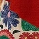 彩色