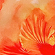 紅色