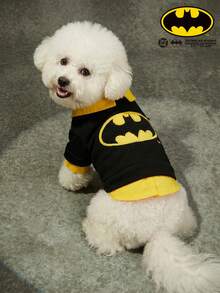 Batman X PETSIN 1 Stück Haustierkleidung, farblich abgesetzter bestickter Fake-Zweiteiler Hoodie, Katzen- und Hundeuniversalkleidung, lässiger Pullover für Frühling und Herbst - Schwarz - Übersicht 2
