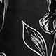Black and White