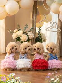 PETSIN 1件条纹网纱蓬蓬裙，适合小型和中型犬猫，春夏宠物服装 - 彩色 - 查看 3
