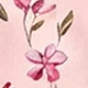 Dusty Pink