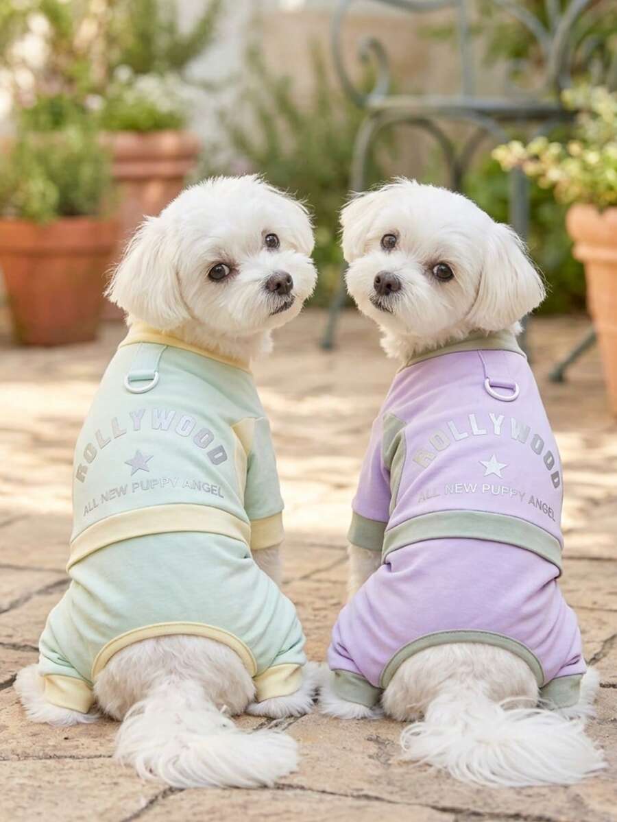 PETSIN 宠物服装、狗狗服装、猫咪服装、休闲连体衣、春夏新款小型动物连体衣、防滑扣连体服、宠物用品、休闲连体衣 - 彩色 - 查看 1