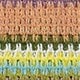Multicolor