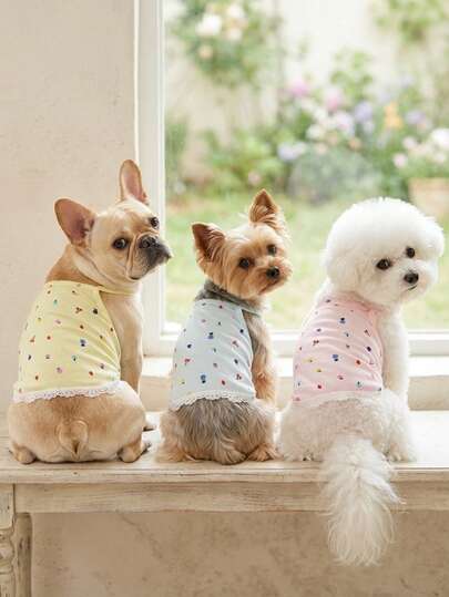 PETSIN Quần áo thú cưng mùa xuân mới, đồ dùng cho thú cưng, quần áo cho thú cưng, áo ba lỗ cho chó, áo thun cho mèo, trang phục cho gấu bông, trang phục cho động vật nhỏ, áo ba lỗ thường ngày mát mẻ, quần áo cho chó, quần áo cho mèo, áo ba lỗ hai mùa xuân hè mới.