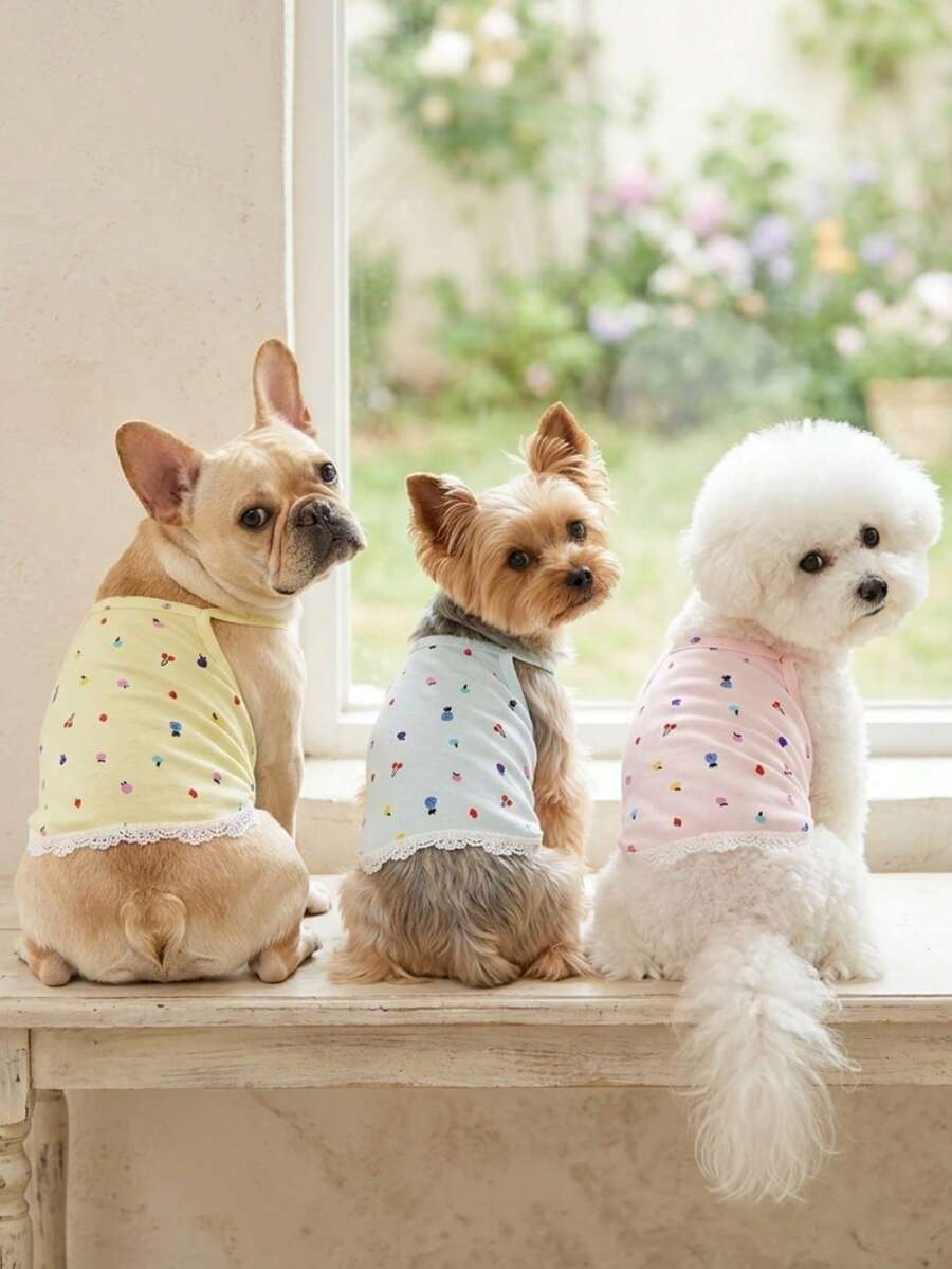 PETSIN 宠物春季新款狗狗服装 动物用品 宠物服装 狗狗背心 猫咪T恤 泰迪熊套装 小型动物服装 休闲酷炫背心 狗狗服装 猫咪服装 春夏两季新款背心 - 彩色 - 查看 1