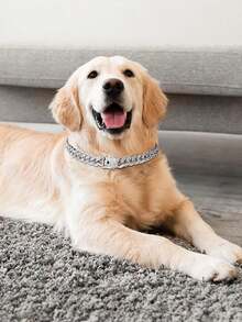 Diamond-Encrusted Silver Dog Collar Dog Necklace Hip-Hop Silver Dog Necklace Large Silver Chain Cat Collar Full Diamond Fashionable Pet Collar - Silver - View 1