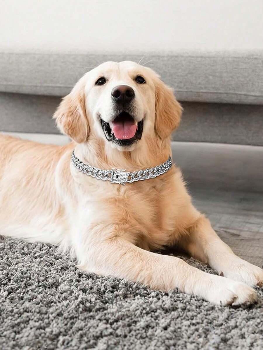 Diamond-Encrusted Silver Dog Collar Dog Necklace Hip-Hop Silver Dog Necklace Large Silver Chain Cat Collar Full Diamond Fashionable Pet Collar - Silver - View 1