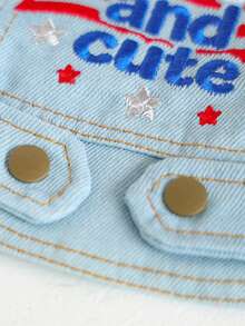 PETSIN 1 Piece Of Clothing For Cats/Dogs, Embroidered Patriotic Themed Blue Pet Vest With Towing Ring, American Flag, Small Dog, Comfortable Jacket - Blue - View 10