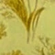 Pale Yellow
