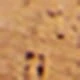 شفاف