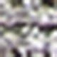 Bạc