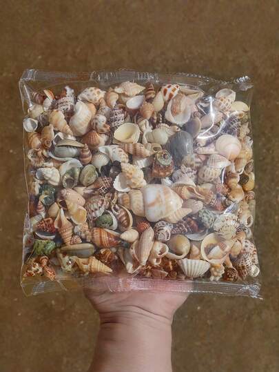 Hỗn hợp cát vỏ sò mini nhiều màu sắc - Túi 50/100g/200g, thích hợp trang trí sổ lưu niệm, chai trôi và bể cá, quà tặng sinh nhật, tốt nghiệp.