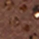 Brown B