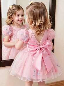 SHEIN Glamorique Kids 女婴生日派对婚礼节日礼服，粉色刺绣薄纱蓬蓬公主裙，带3D蝴蝶结 - 粉色 - 查看 1