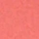 Coral Orange