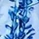 藍白色
