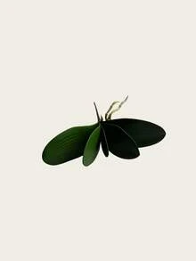 5 片蝴蝶兰人造叶子，高端绿植，花卉配件，插花配件，装饰品。 - 彩色 - 查看 6
