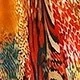 Nhiều màu