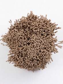 1 pieza Estambre de flor artificial de 2,36 pulgadas de doble cabeza, sin batería, adecuado para bodas, Navidad, arreglos florales, costura DIY, decoración floral, flores artificiales, decoración de bodas y manualidades - Decoración floral para el hogar Manualidades navideñas, decoración elegante necesaria Ideal para coser, decoraciones de boda y manualidades - Materiales de decoración del hogar y accesorios de costura. - Multicolor - Ver 23