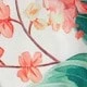 彩色