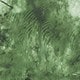 綠色