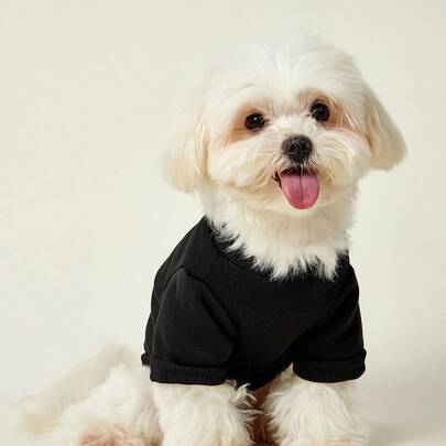 PETSIN 1pc Badge Letter MIAMI Number 88 Letter Printed Pet Black Thick Warm Casual Pet Clothing