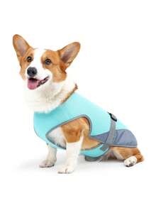Breathable Mesh Dog Cooling Vest - Summer Heat Protection, With Adjustable Buckles, Suitable For Outdoor Activities And Pet Comfort Needs. - Multicolor - View 8