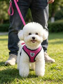 Pet Leash And Harness Set, Comfortable Breathable With Reflective Strips, Mesh Design Lightweight Non-Choke Adjustable Leash And Harness Set For Medium & Small Dogs And Cats (Actual Product May Run Small, Please Order One Size Up - Red Violet - View 2