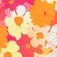 Multicolor