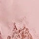 Coral Pink