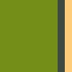 Color 6