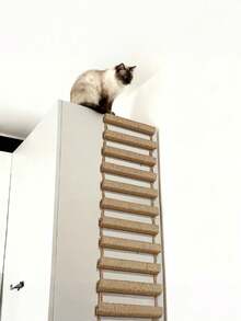 1 pieza Escalera colgante para gatos de sisal, de longitud 50cm/100cm, de madera de pino natural resistente, carga máxima de 12kg (26lb), para jugar, trepar y arañar - Albaricoque - Ver 6