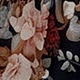 Nhiều màu