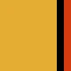 Color 5