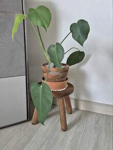 1件装木制中世纪多功能植物架鞋凳踏凳，高9.41英寸（24厘米），可作花盆架、圆形边桌，适用于室内植物，现代风格装饰，圣诞节礼物佳选，节日必备单品 - 彩色 - 查看 3