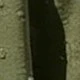 Màu xanh Ô liu