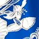 彩色