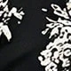 Blanco y Negro