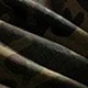 軍綠色