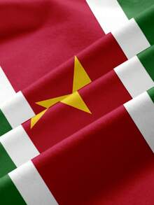 SHEIN HypeZone Women's Summer Bandeau Top With Suriname National Flag And Football World Cup Design - Multicolor - View 3