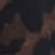 彩色