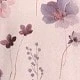 彩色