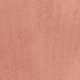 Coral Orange