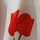 紅色