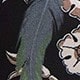 彩色