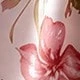 彩色