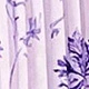 Nhiều màu